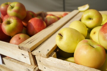 A huge number of fresh apples of different varieties on a big sale