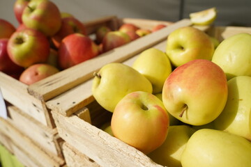 A huge number of fresh apples of different varieties on a big sale