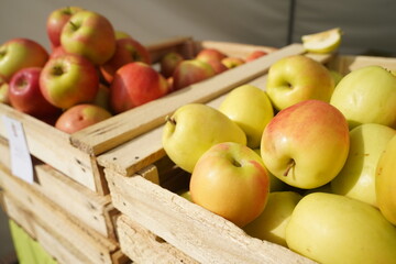A huge number of fresh apples of different varieties on a big sale