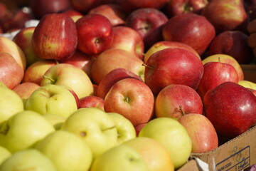 A huge number of fresh apples of different varieties on a big sale