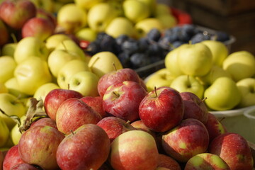 Naklejka na ściany i meble A huge number of fresh apples of different varieties on a big sale
