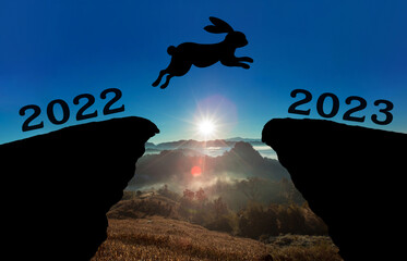 A cute new born rabbit jump between 2022 and 2023 years over the sun and through on the gap of hill 