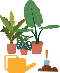 Beautiful plants in pots and planting equipment.