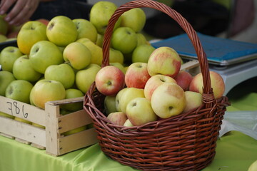 A huge number of fresh apples of different varieties on a big sale