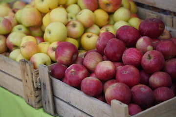 A huge number of fresh apples of different varieties on a big sale