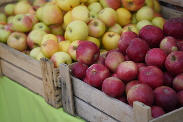 A huge number of fresh apples of different varieties on a big sale