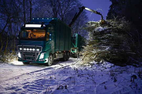truck with crane lifting branches into containers