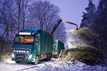 truck with crane lifting branches into containers