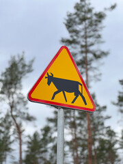 Domestic animals road crossing sign. Cows on the road.