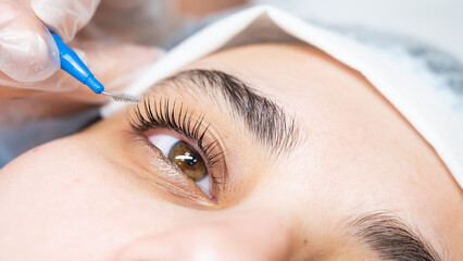 The master combs the eyelashes of the client after the lamination procedure.  - obrazy, fototapety, plakaty