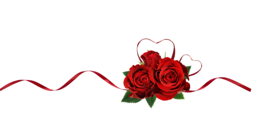 Red silk ribbon hearts and waves with rose flowers isolated on white or transparent background for Valentine's day