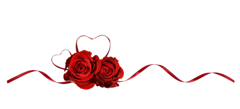Red silk ribbon hearts and waves with rose flowers isolated on white or tranparent background for Valentine's day