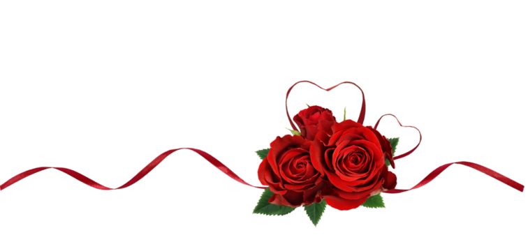 Red silk ribbon hearts and waves with rose flowers isolated on white or transparent background for Valentine's day - Powered by Adobe