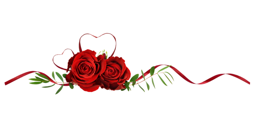 Red silk ribbon hearts and waves with rose flowers ans green leaves isolated on white or transparent background for Valentine's day