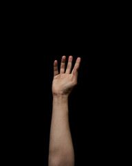 Fototapeta premium 손