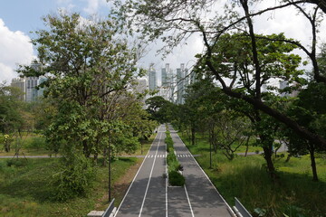 Sumpfgebiet Benjakitti Park in Bangkok