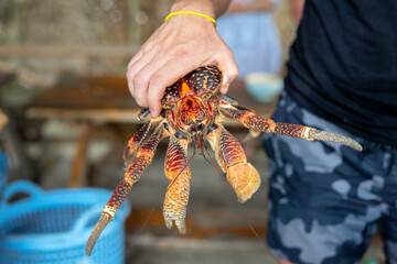 Lobsters in fish market. Stone Town, Zanzibar, Tanzania.
 - obrazy, fototapety, plakaty
