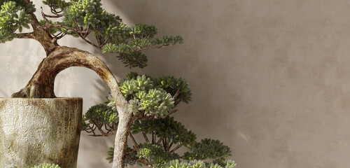 Beautiful shape and form traditional Japanese bonsai miniature tree in concrete pot on wooden stool in sunlight, dappled shadow on beige brown stucco cement wall for calm philosophy background 3D