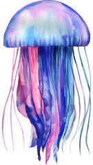 Beautiful watercolor jellyfish on a white isolated background, hand drawing
