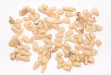 Human teeth on a white background, dentures teeth pulled out. Dentistry, orthodontist. Dentures. tooth loss