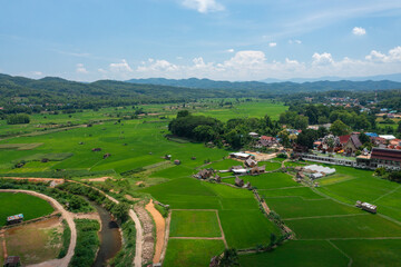 Fototapeta na wymiar Aerial view of green rice field at countryside village in Nan province, Thailand.