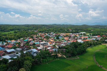 Fototapeta na wymiar Aerial view of green rice field at countryside village in Nan province, Thailand.