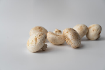 Champignons on a white background with an empty space
