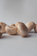 Champignons on a white background with an empty space