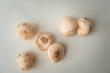 Champignons on a white background with an empty space