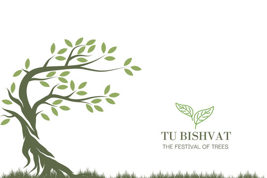 Tu bishvat - New Year for Trees, Jewish holiday. Text Happy Tu Bishvat. Colorful illustration design. Isolated on white background.