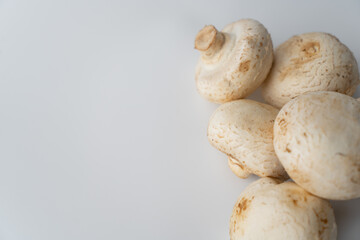 Champignons on a white background with an empty space