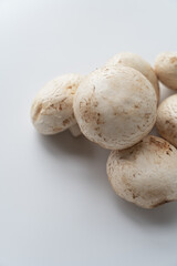 Champignons on a white background with an empty space