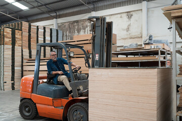Male worker driving and operating on diesel forklift truck for moving pile of plywood at wood...
