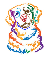 Golden retriever dog vector illustration abstract color portrait