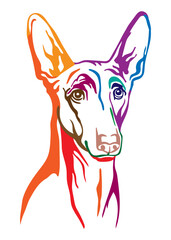 Pharaon dog vector illustration abstract color portrait