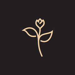 flower logo illustration. Floral wreaths. Botanical floral emblem with typography on black background