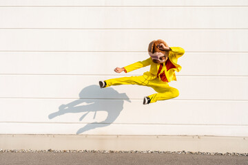 Playful man wearing animal mask jumping and kicking in front of wall