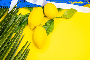 Ripe lemons, a palm branch and a ribbon with the colors of the Israeli flag. Sukkot holiday concept on yellow background