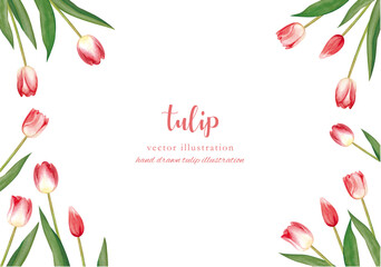 Fototapeta premium 手書きのチューリップの水彩画フレーム