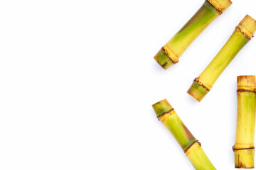 Fototapeta premium Sugar cane on white background. Copy space