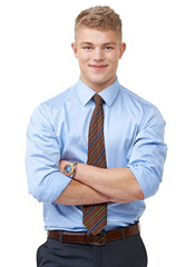 Portrait of a young handsome businessman wearing a tie and formal shirt smiling and posing with his hands folded isolated on a PNG background. - obrazy, fototapety, plakaty
