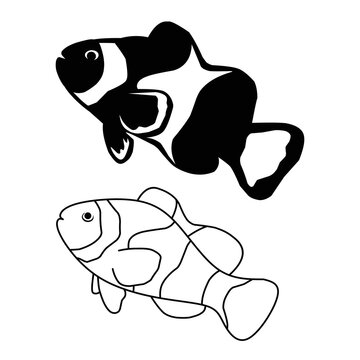 recommend clip art: black and white clown fish vector illustration