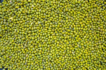 beans green beans general plan of the machine. View from above
