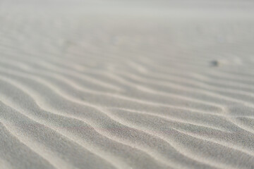 ripples in the sand