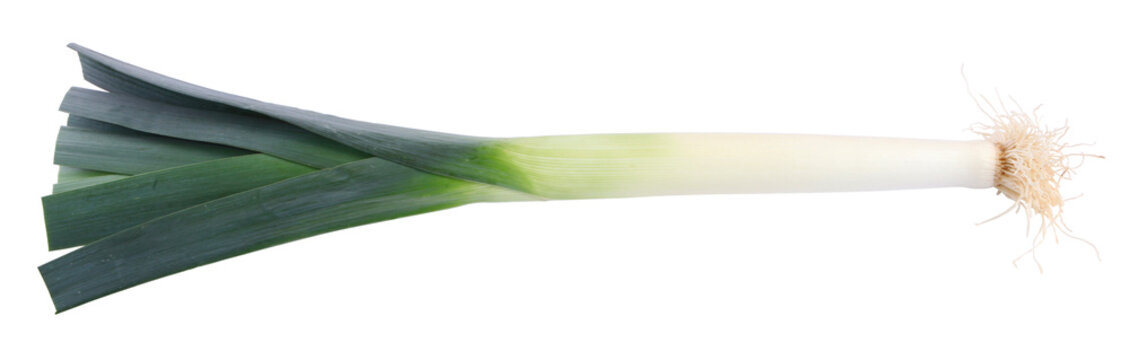 Poireau	