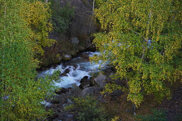 The river and different vegetation in the mountainous area.