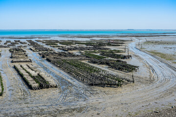 Low tide in oyster farm, Cancale, France