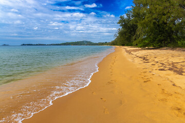 Sand beach with a forest in Phu Quoc Island, Vietnam