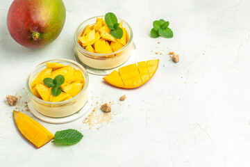 dessert panna cotta with pieces of fresh mango on a light background. top view
