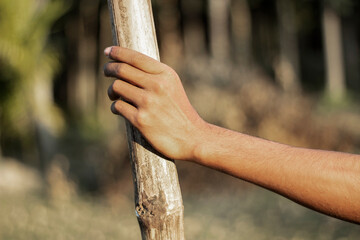 A human hand catch an old bamboo and the background blurred